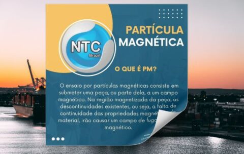 PARTÍCULAS MAGNÉTICAS
